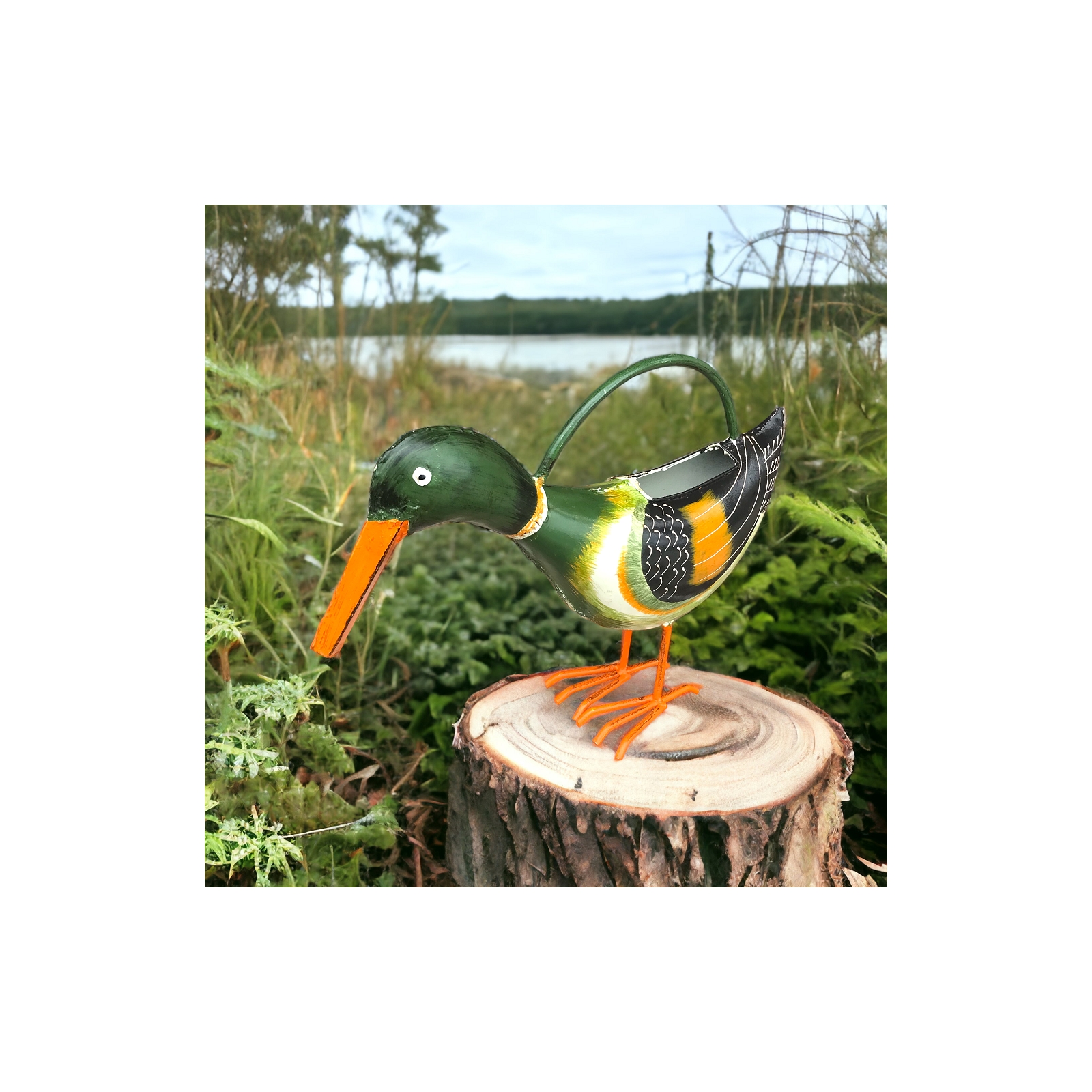 Alfed Duck Watering Can 
